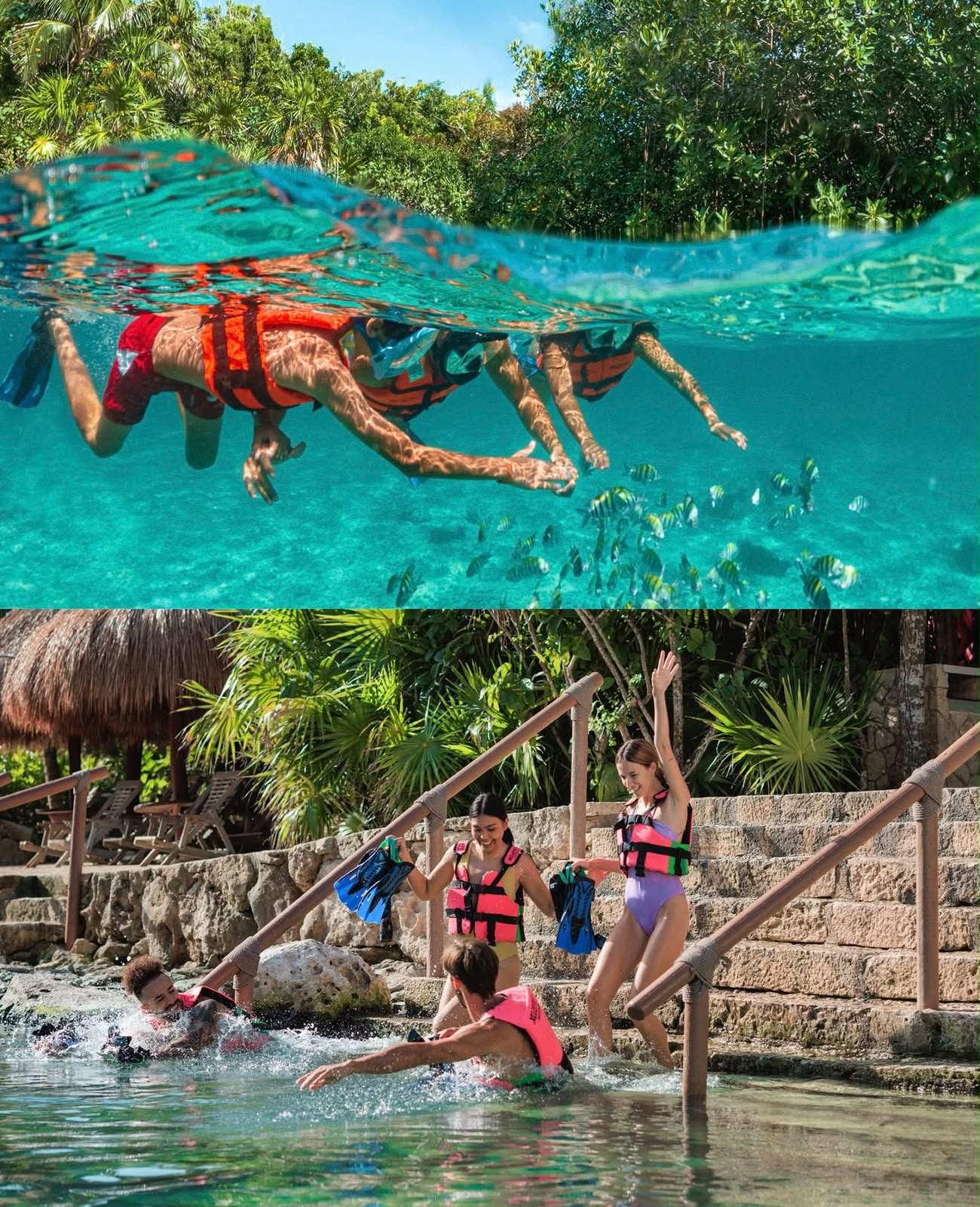 XCaret Plus - foto 1