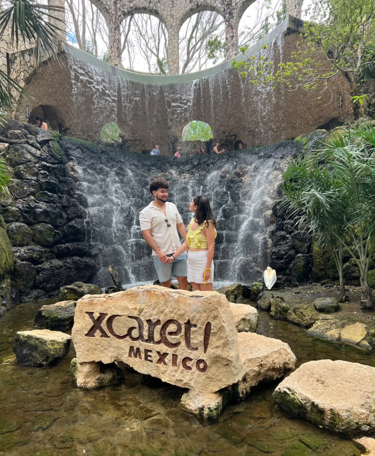 XCaret Plus - miniatura 2