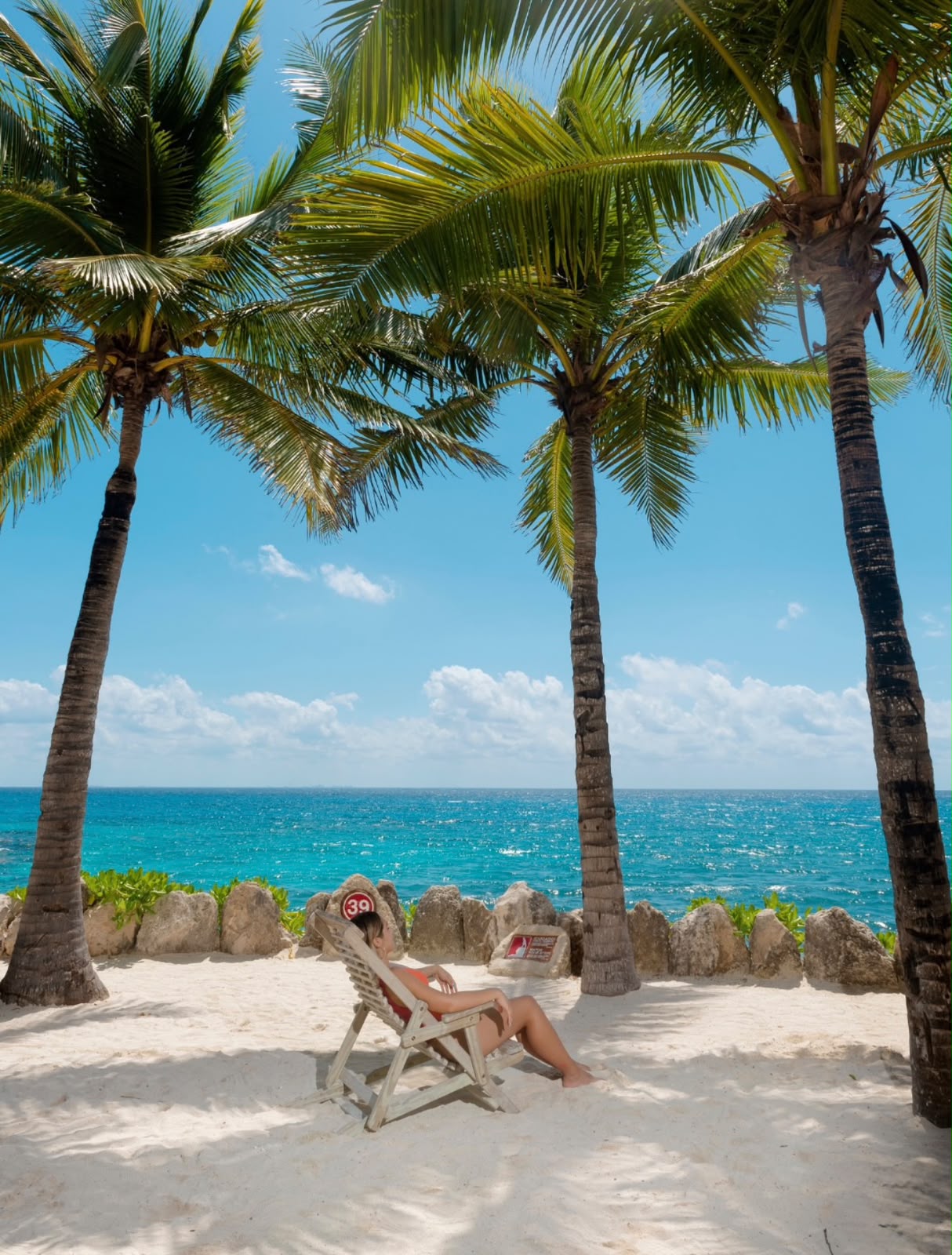 XCaret Plus - miniatura 5