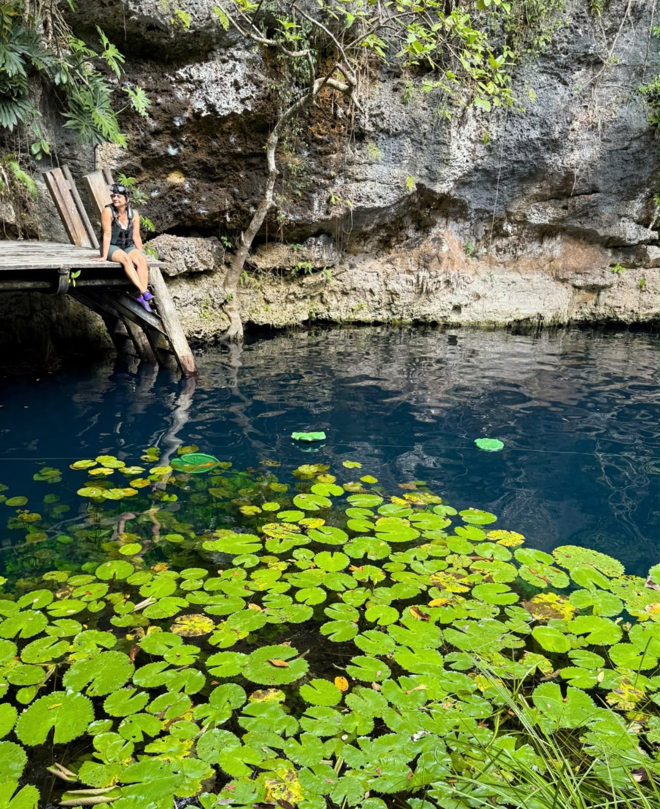 Xenotes - foto 1