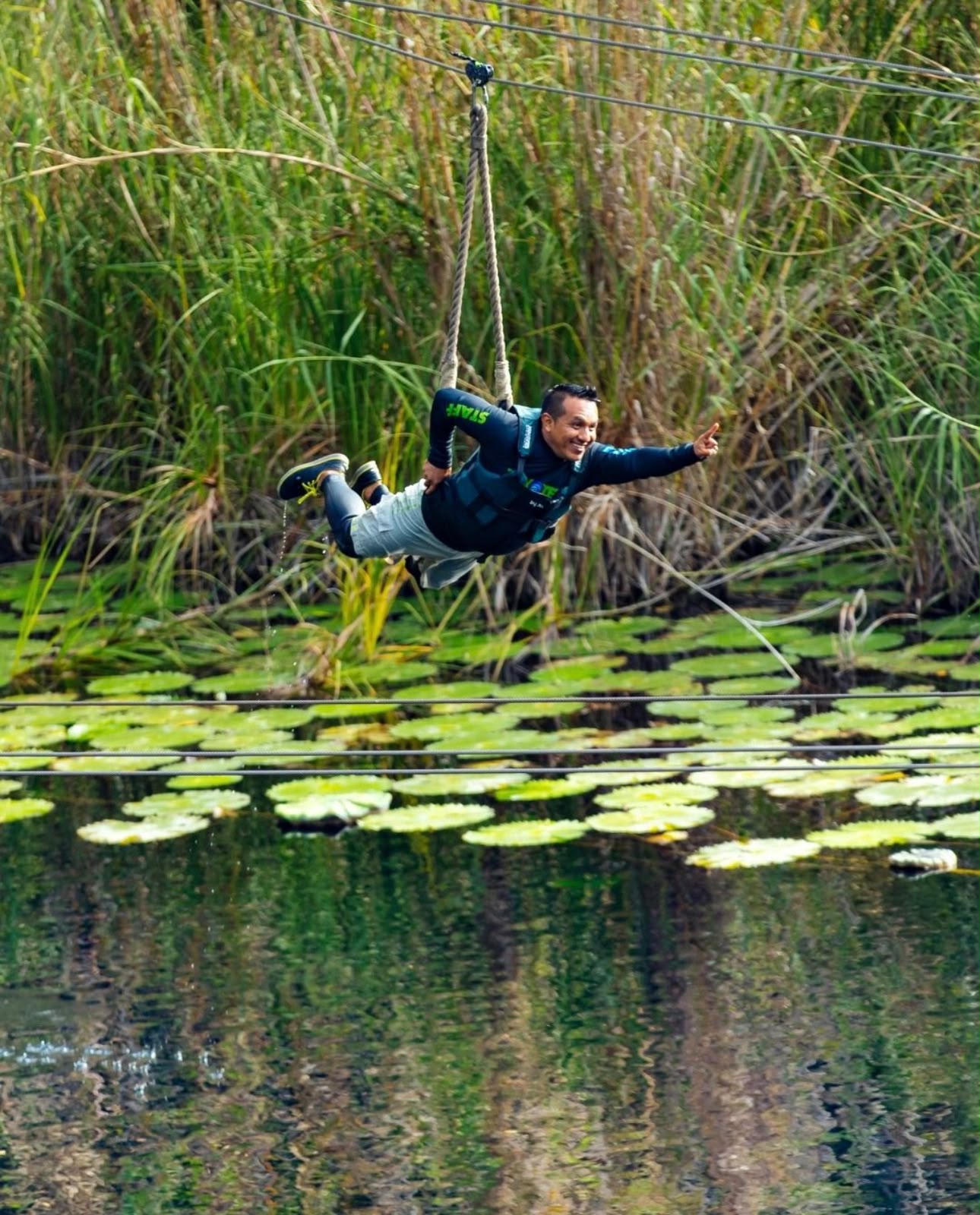 Xenotes - miniatura 2
