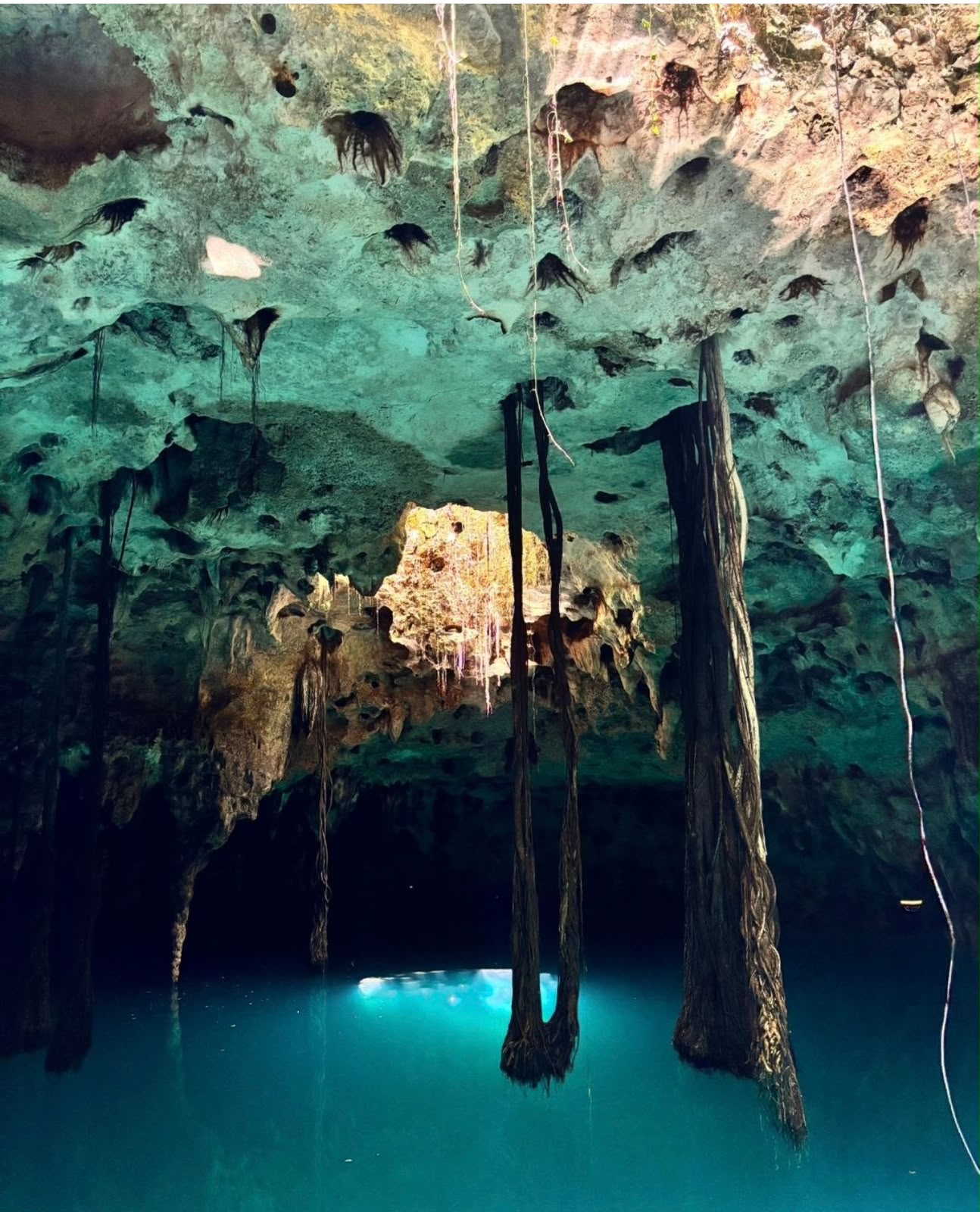 Xenotes - miniatura 3