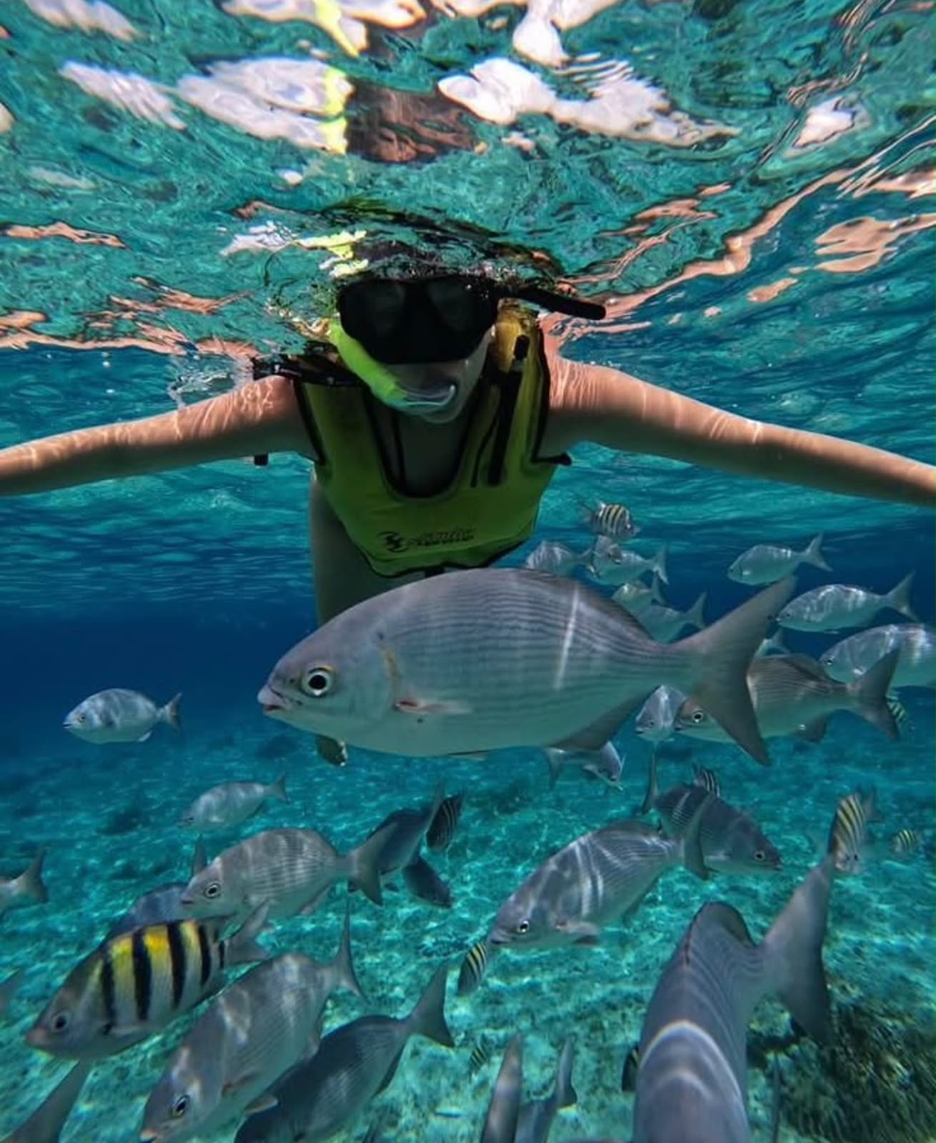 Cozumel El Cielo / Desde Playa - miniatura 2