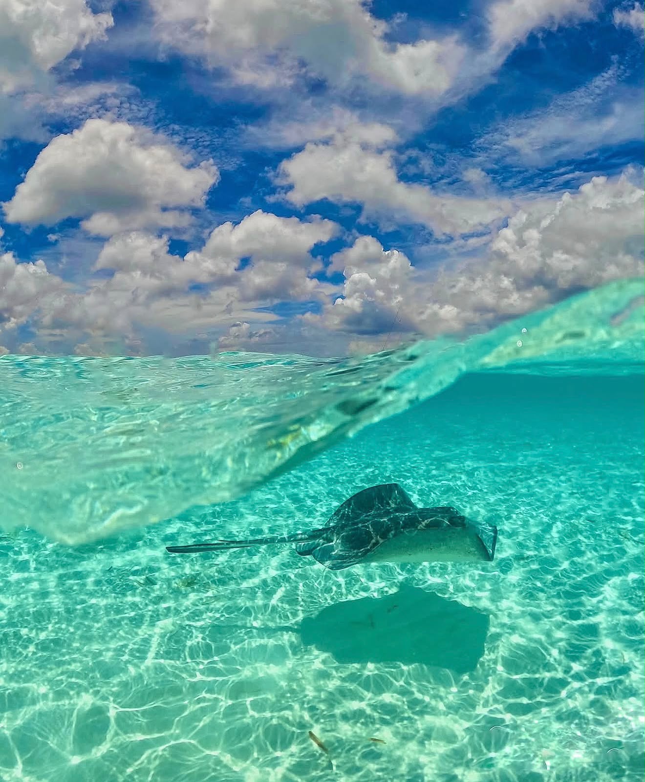 Cozumel El Cielo / Desde Playa - miniatura 5