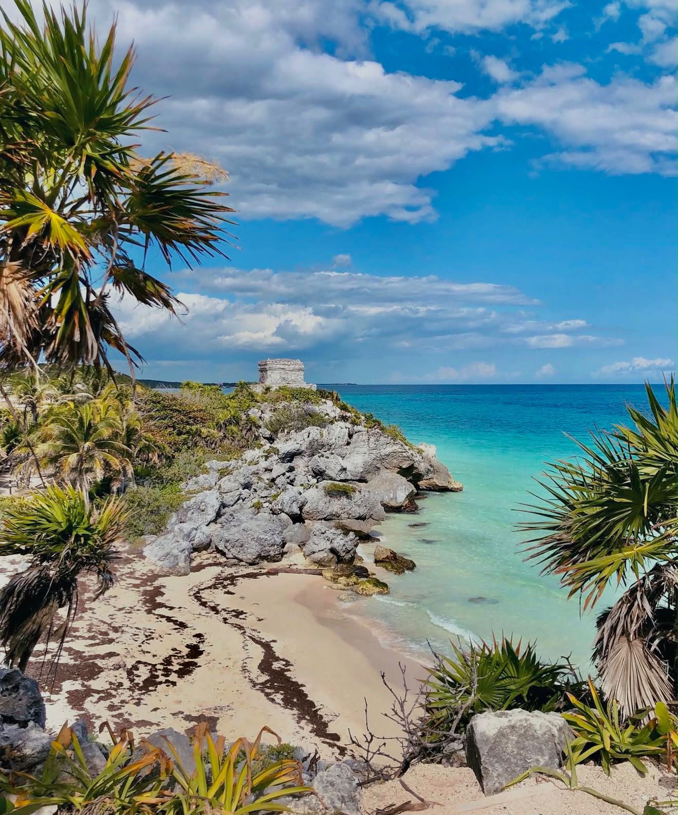 Tulum, Cenotes e Tartarugas - miniatura 3