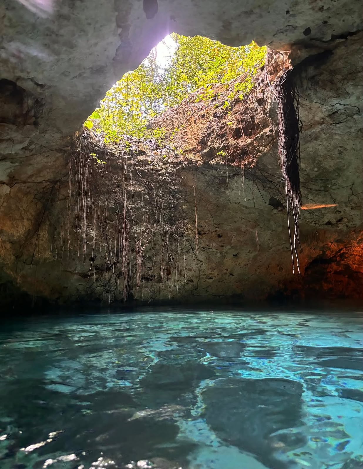 Tulum, Cenotes e Tartarugas - miniatura 5