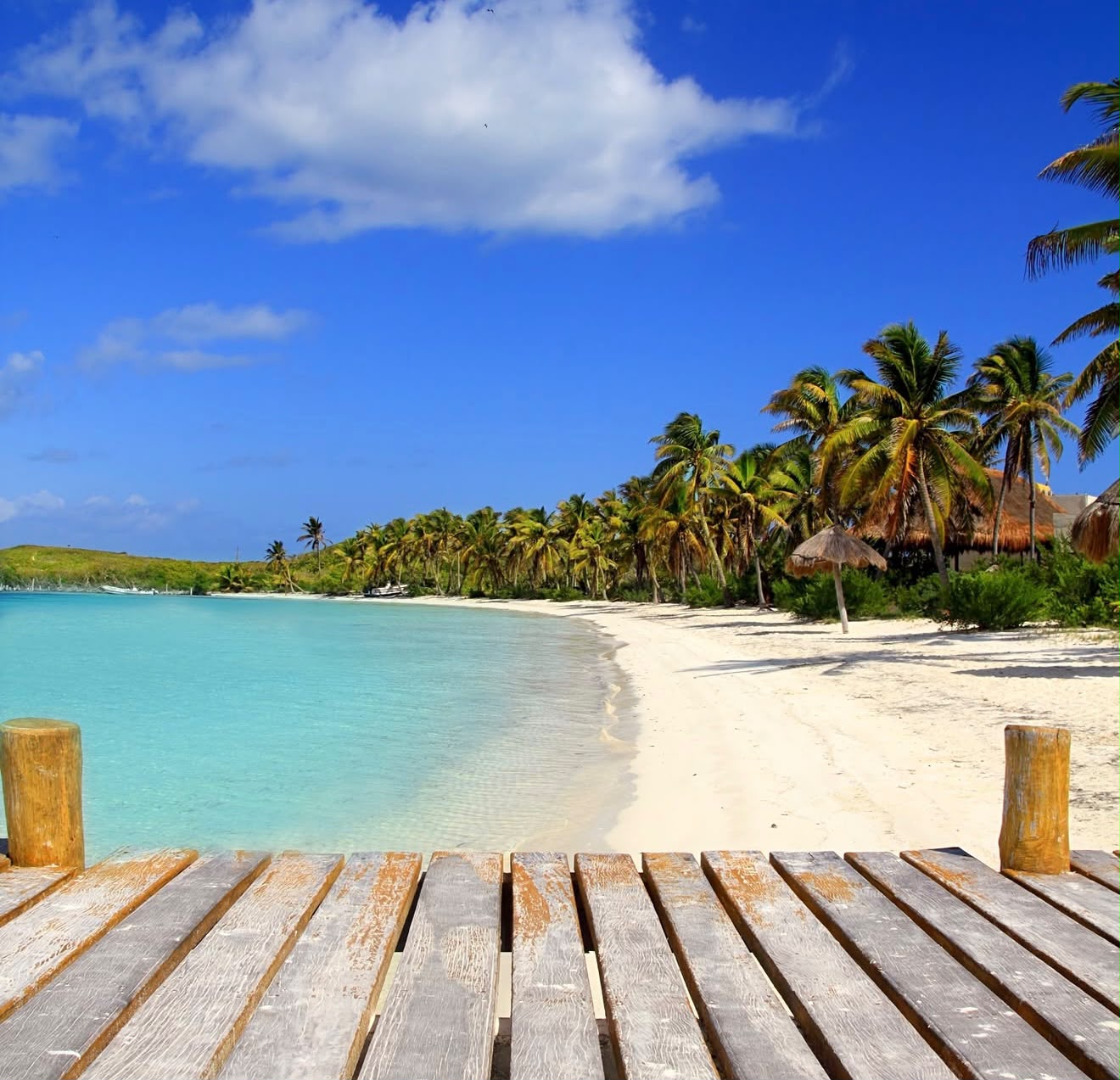 Blue Escape: Akumal, Cenote e beach club - miniatura 3
