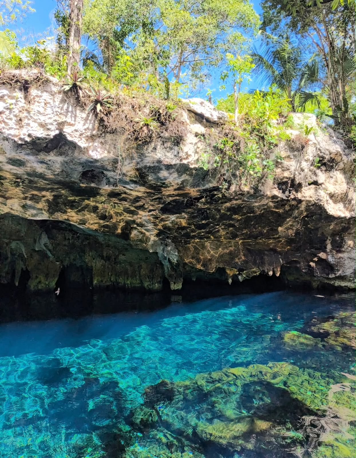 Tulum Mistico - miniatura 4