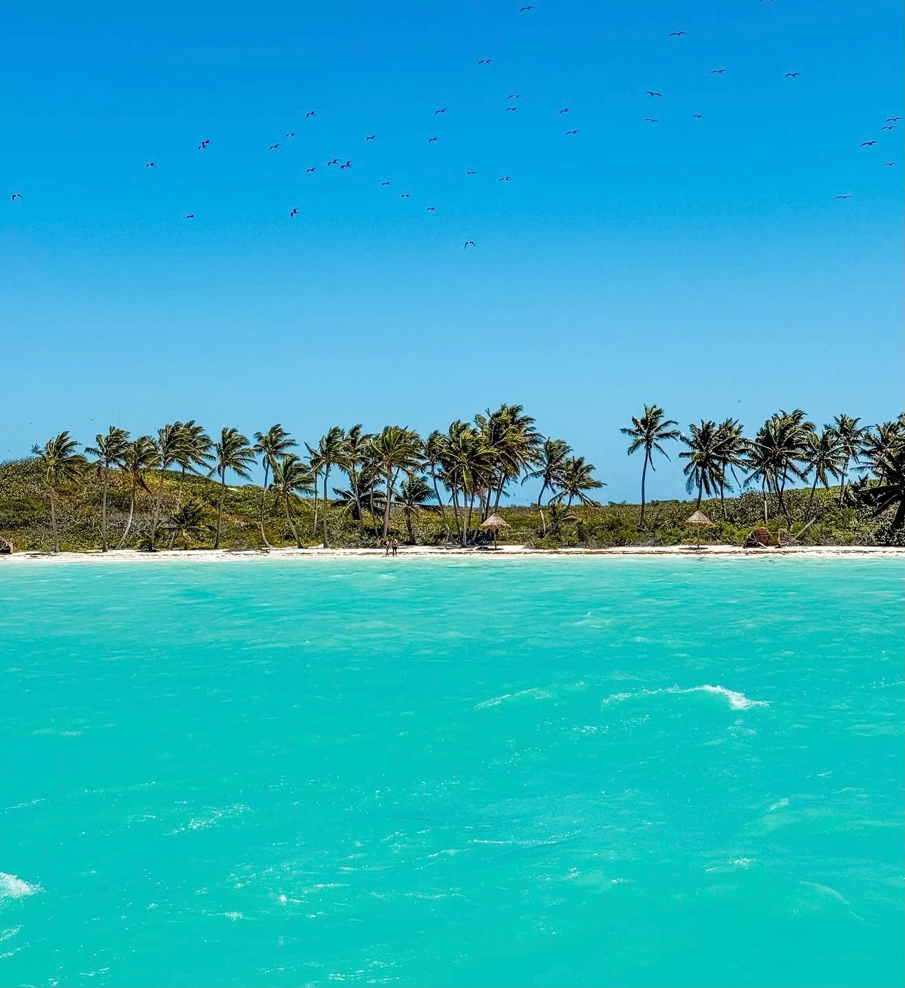 Isla Contoy - miniatura 2