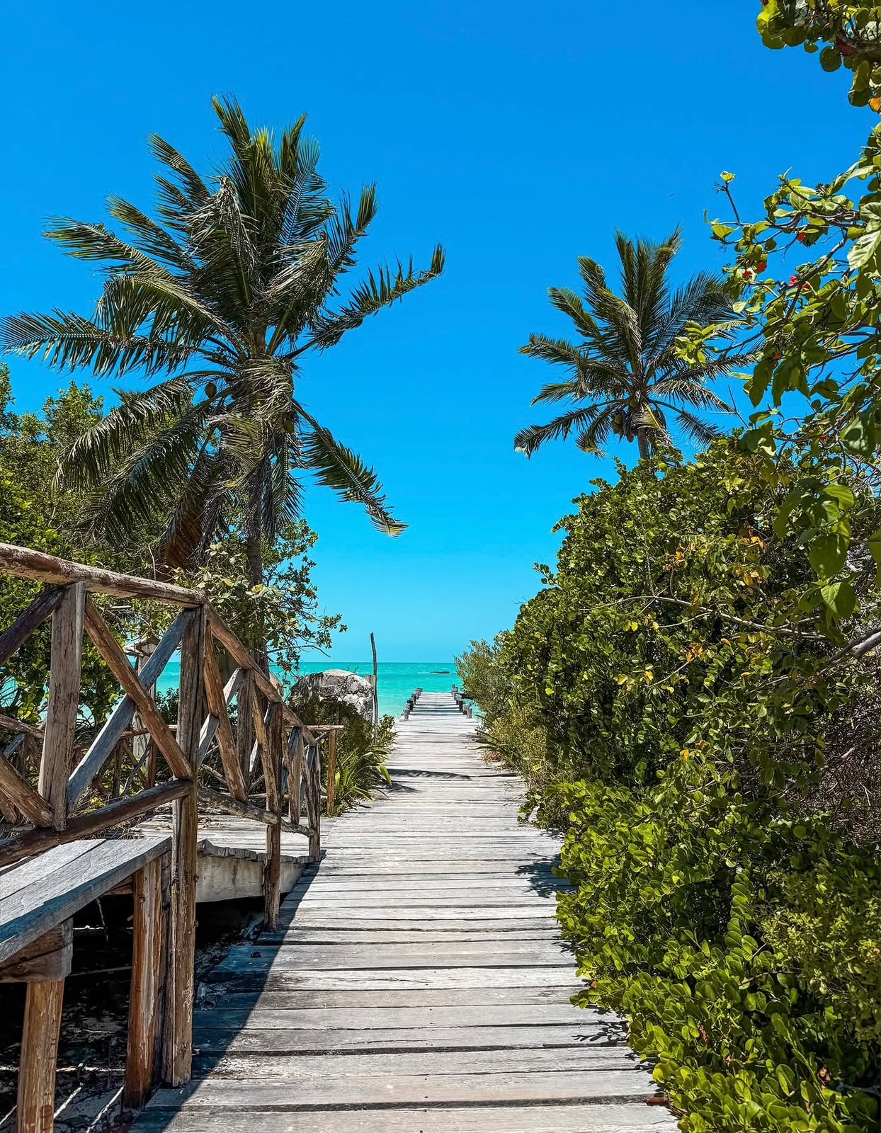 Isla Contoy - miniatura 4