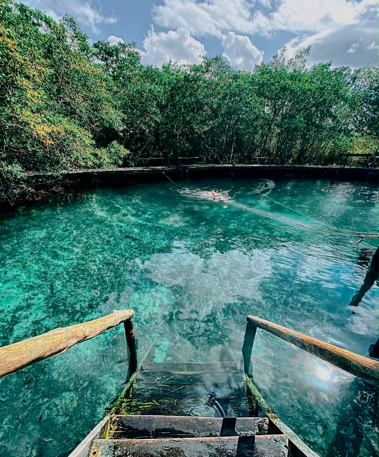 Isla Holbox e Cenote Yalahau - miniatura 2