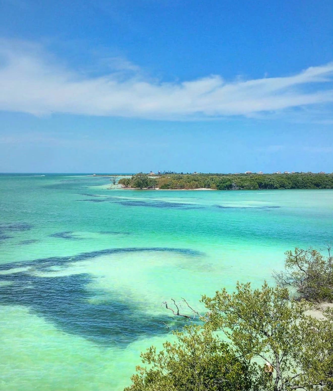 Isla Holbox e Cenote Yalahau - miniatura 3