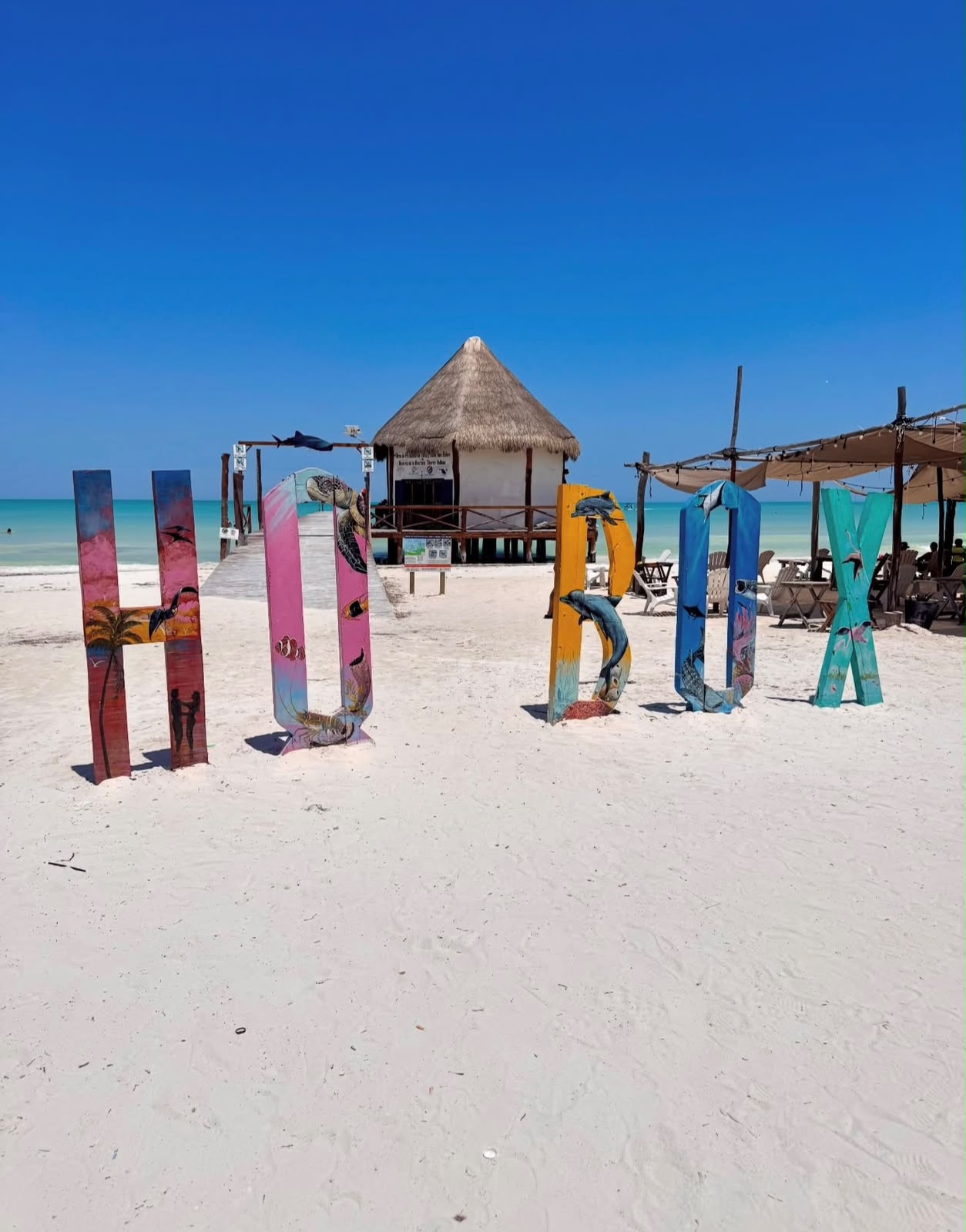 Isla Holbox e Cenote Yalahau - miniatura 4