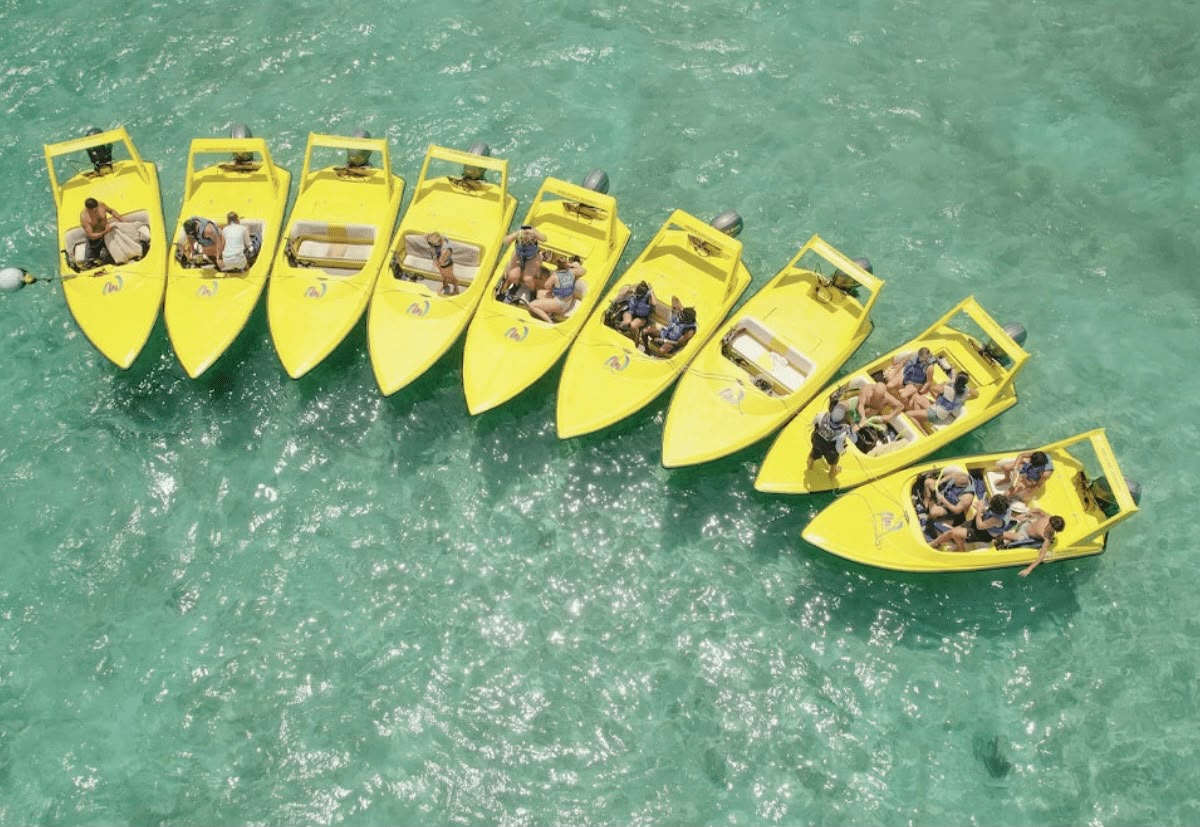 Jungle Tour - miniatura 2
