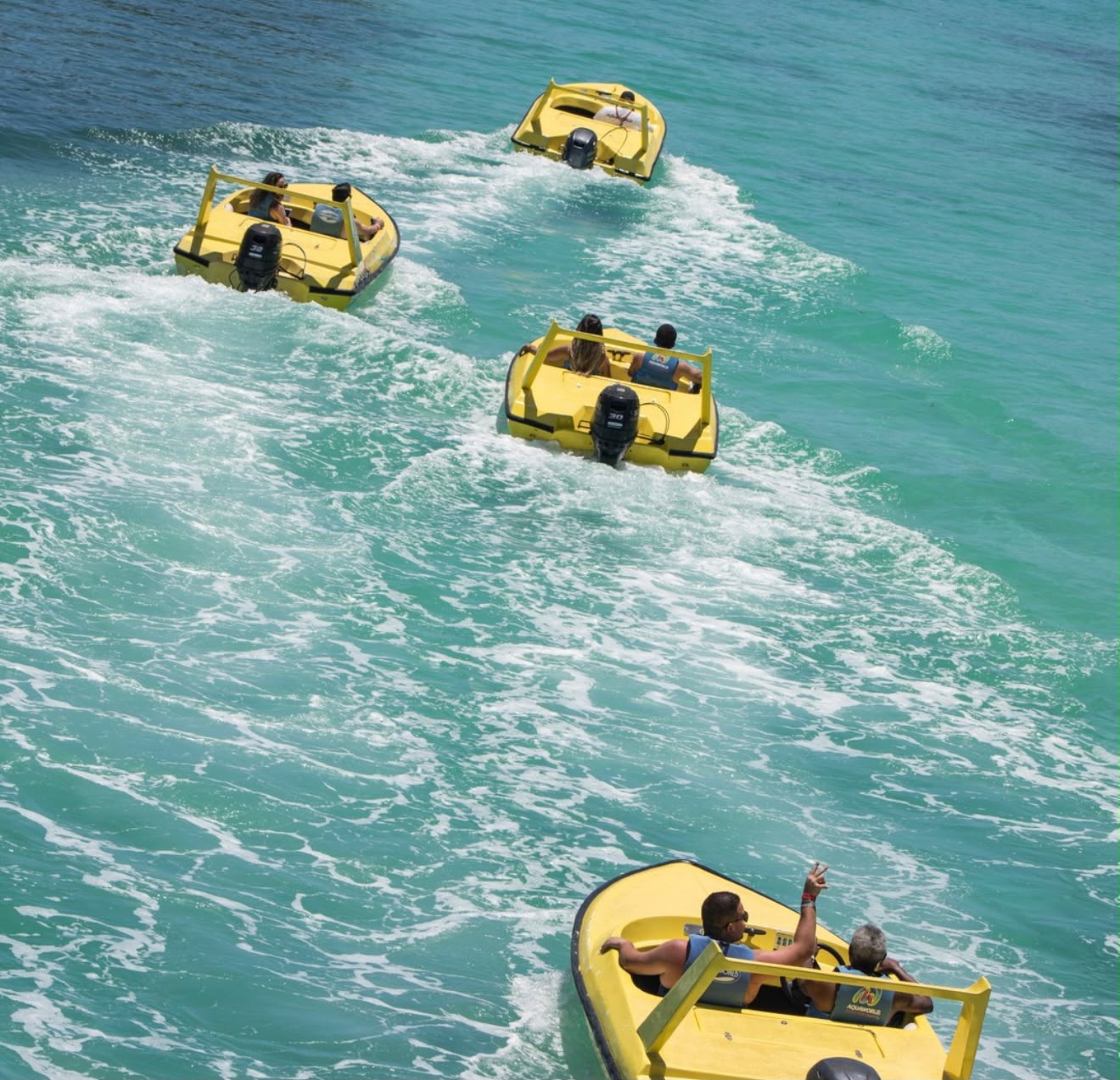 Jungle Tour - miniatura 4