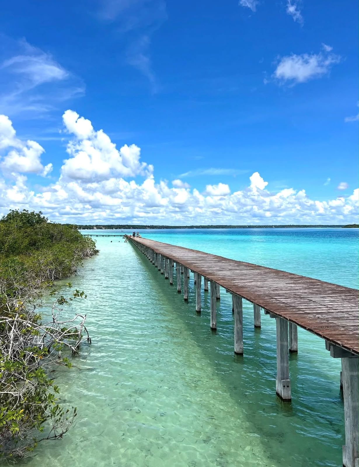 Bacalar + Ponton passeio em lancha - miniatura 2