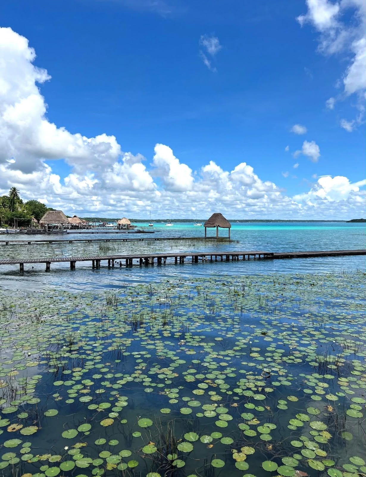 Bacalar + Ponton passeio em lancha - miniatura 3